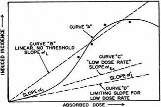 Model Fig 2.jpg